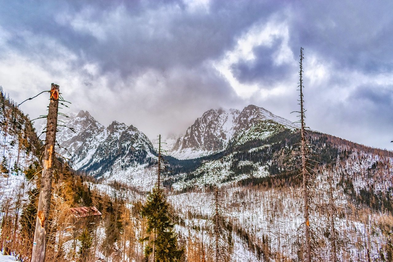 Tatry v zime